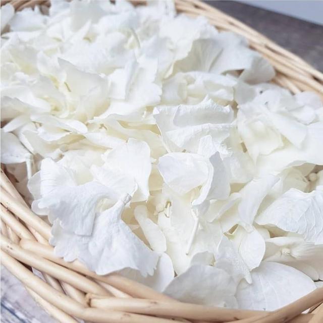 Real Dried Ivory White Hydrangea Flower Petals - 1.06 oz Natural Preserved Petals for Wedding, Party Confetti, Valentine's Day, Flower Girl Baskets, Romantic Night, Proposal Decor, Handcrafts
