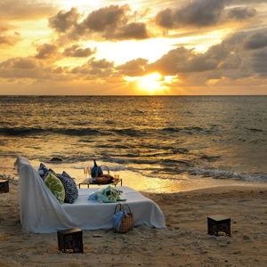 Private Beach Dinner Under the Stars