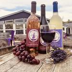 White Oak Lavender Farm & The Purple WOLF Vineyard