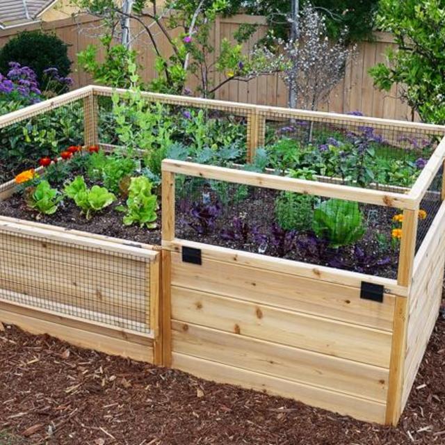Outdoor Living Today Raised Garden Bed 6×3