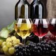 Temecula Valley Wine Tasting