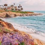 CDM and Newport Beaches