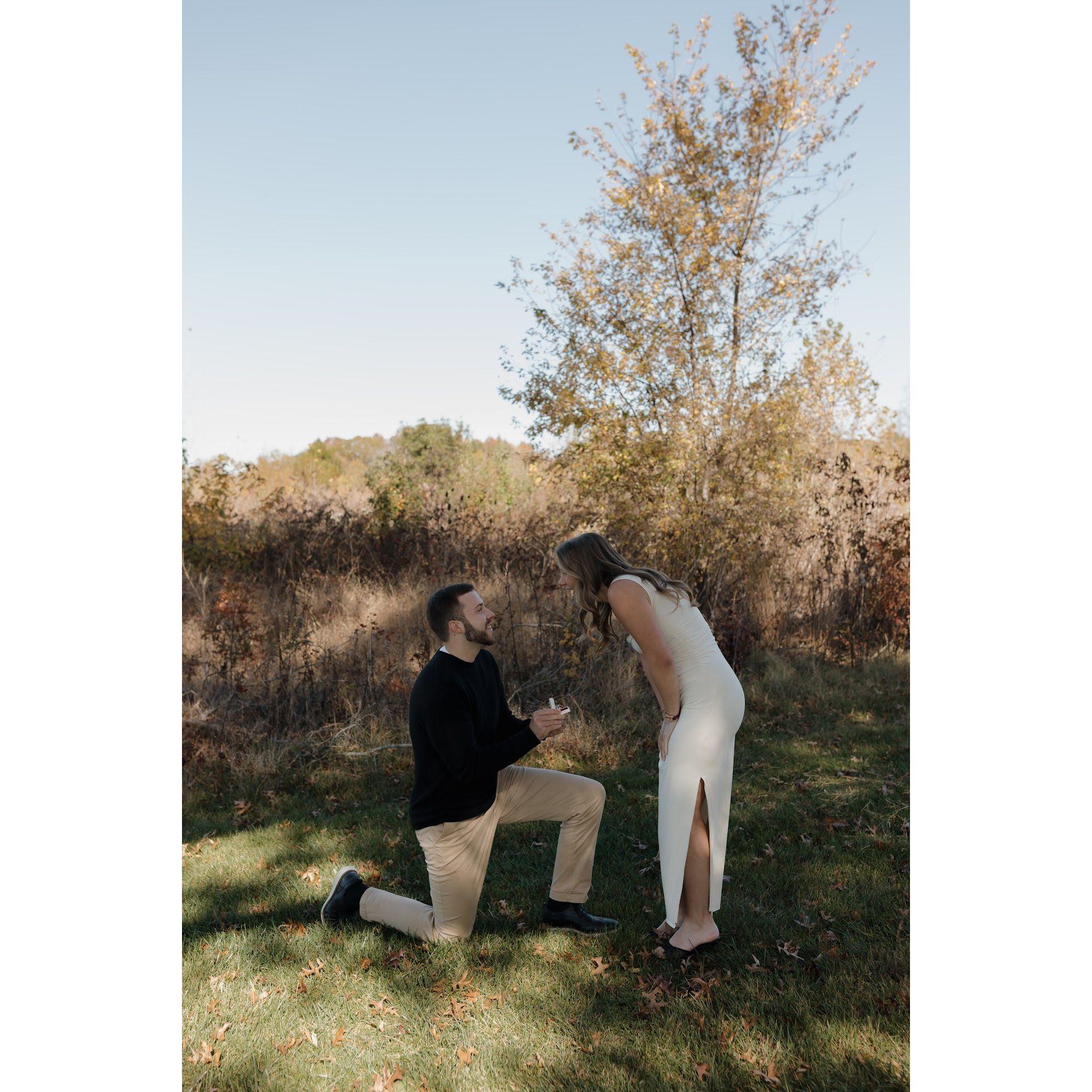 The proposal