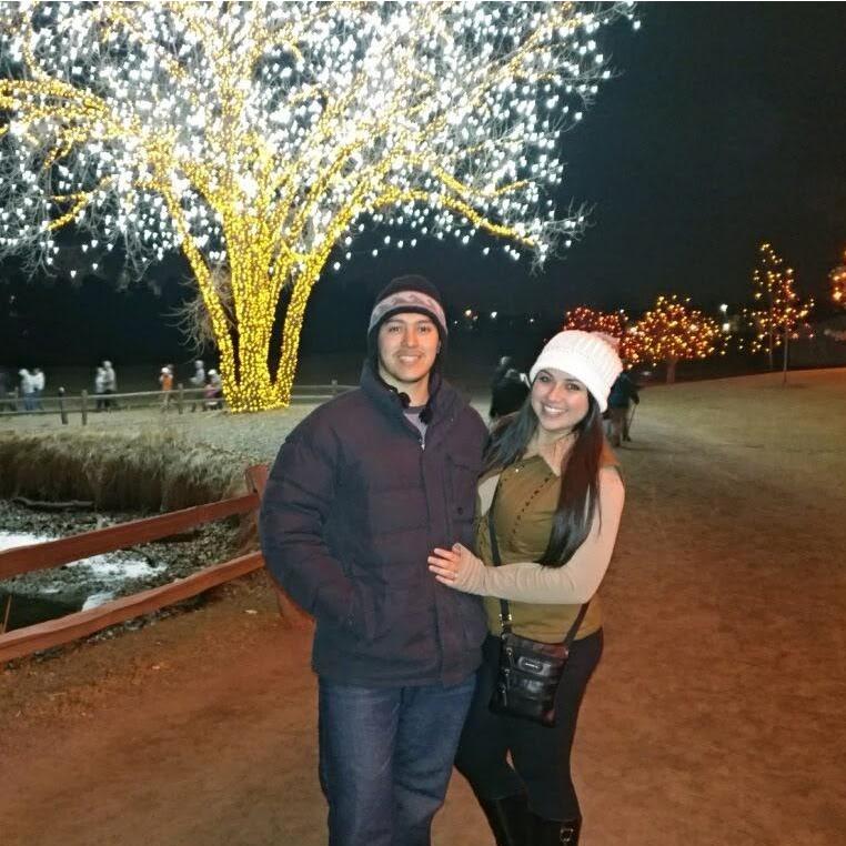 Christmas Lights!