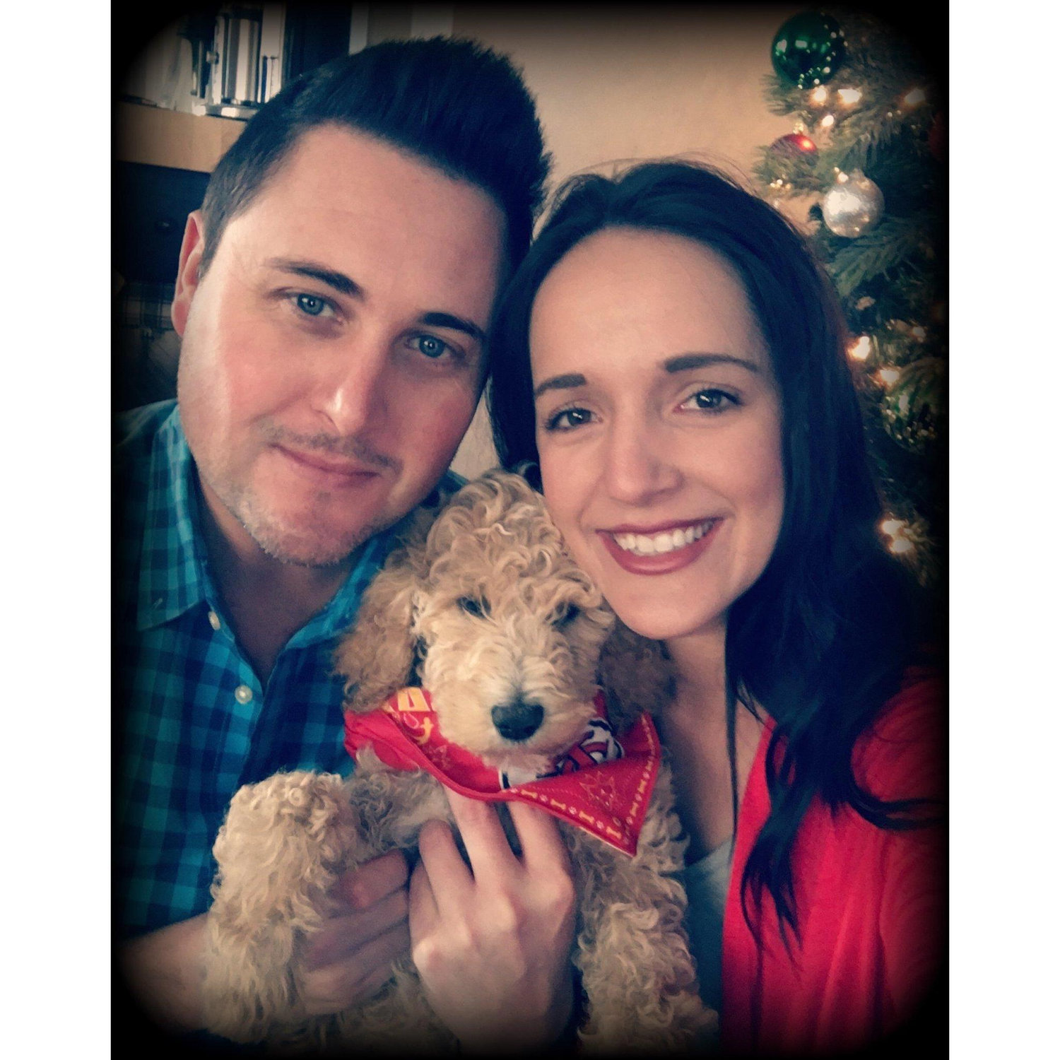 Stella's first Christmas with us. We only had her for about two days when we took this picture.