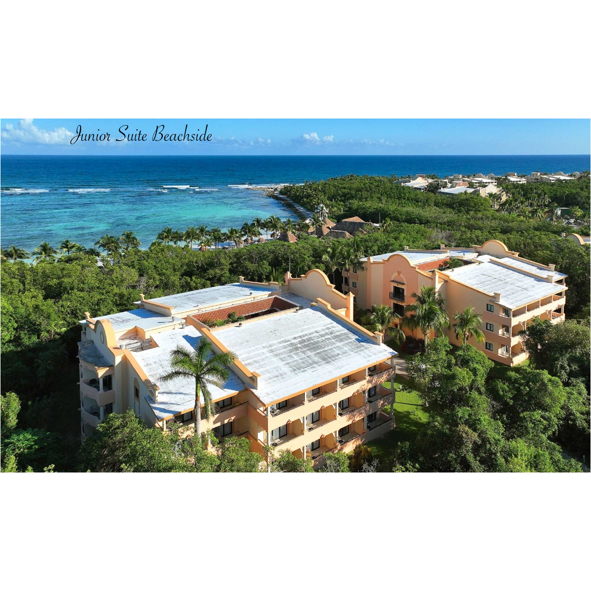 2. Junior Suite Beachside