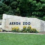 Akron Zoo