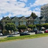 Painted Ladies