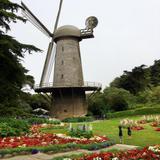 Golden Gate Park