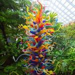 Fairchild Tropical Botanic Garden