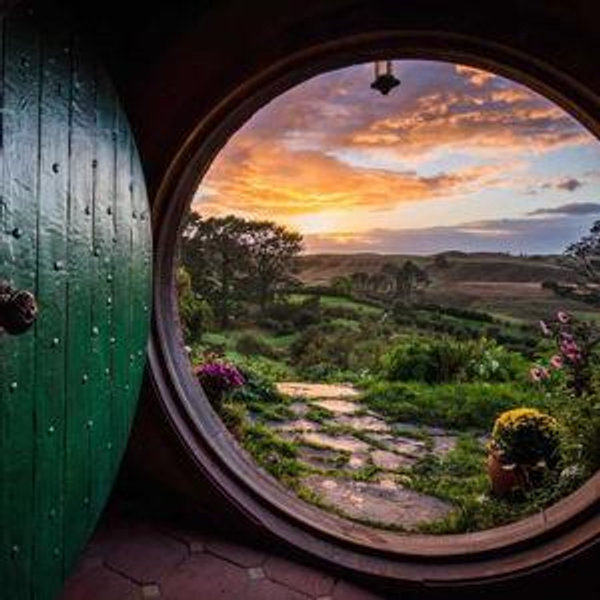 Our New Zealand honeymoon fund