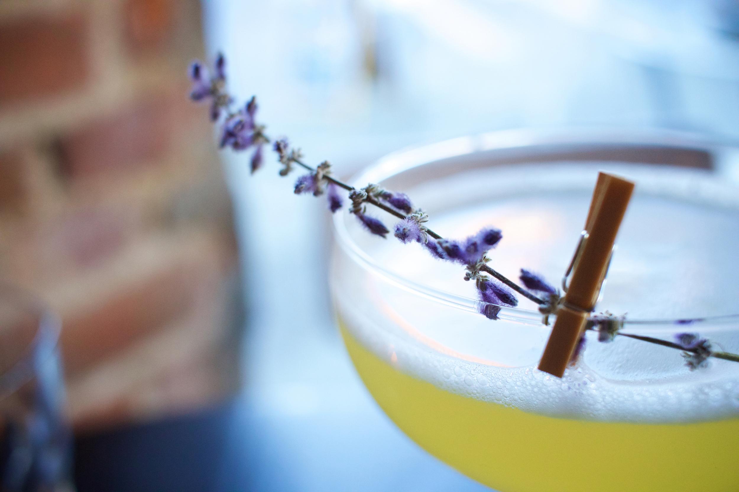 The Wedding Website of Nick Nigro and Bay Ewald 