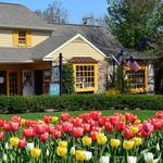 Peddler's Village