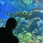 New England Aquarium