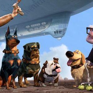 Ella & Dozer dog-boarding fund