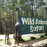 Wild Animal Safari - Pine Mountain, Georgia