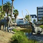 La Brea Tar Pits and Museum