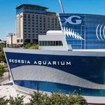 Georgia Aquarium