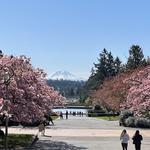 University of Washington