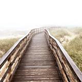 Plum Island