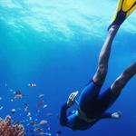 Rincon Diving & Snorkeling