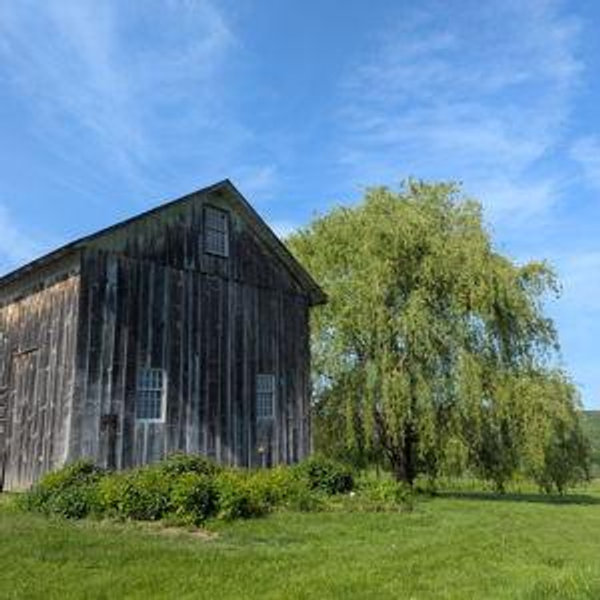 Our house & barn renovation fund