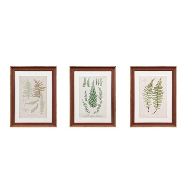 Martha Stewart Lady Fern Collection Framed 19-Inch x 25-Inch Wall Art (Set of 3)