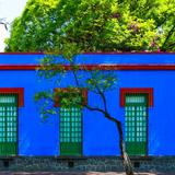 what to do in In Mexico city