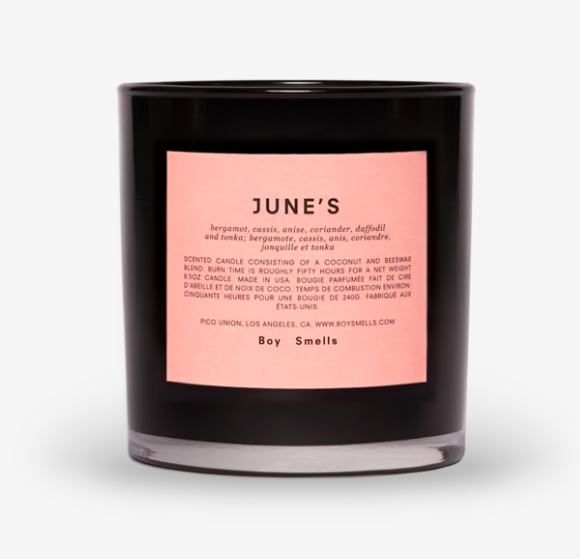 BOY SMELLS JUNE'S CANDLE
