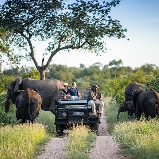 South Africa Honeymoon Fund