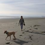 Twin Harbors State Park
