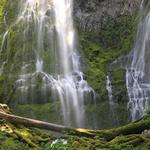 Proxy Falls