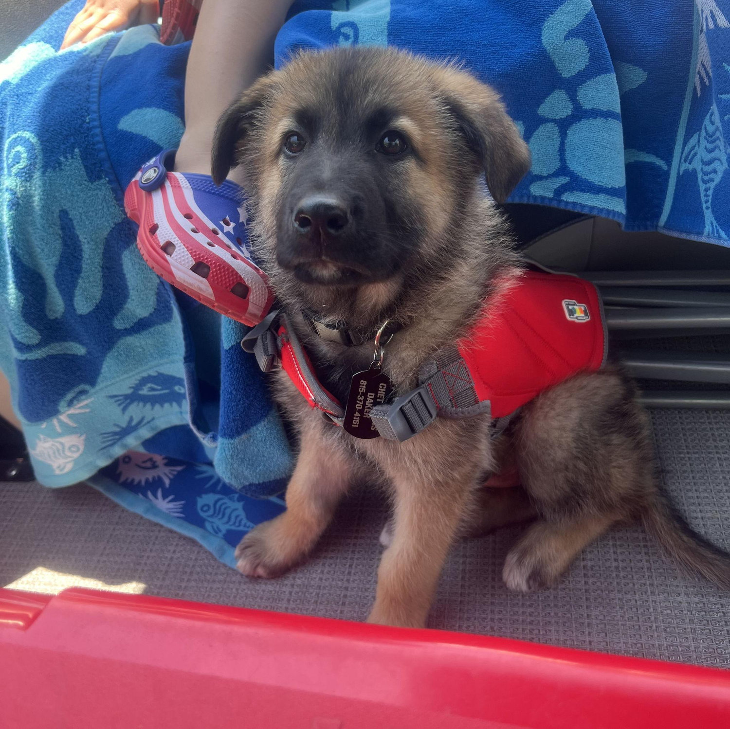 Of course had to include our baby Zed