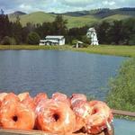 Windmill Village Bakery