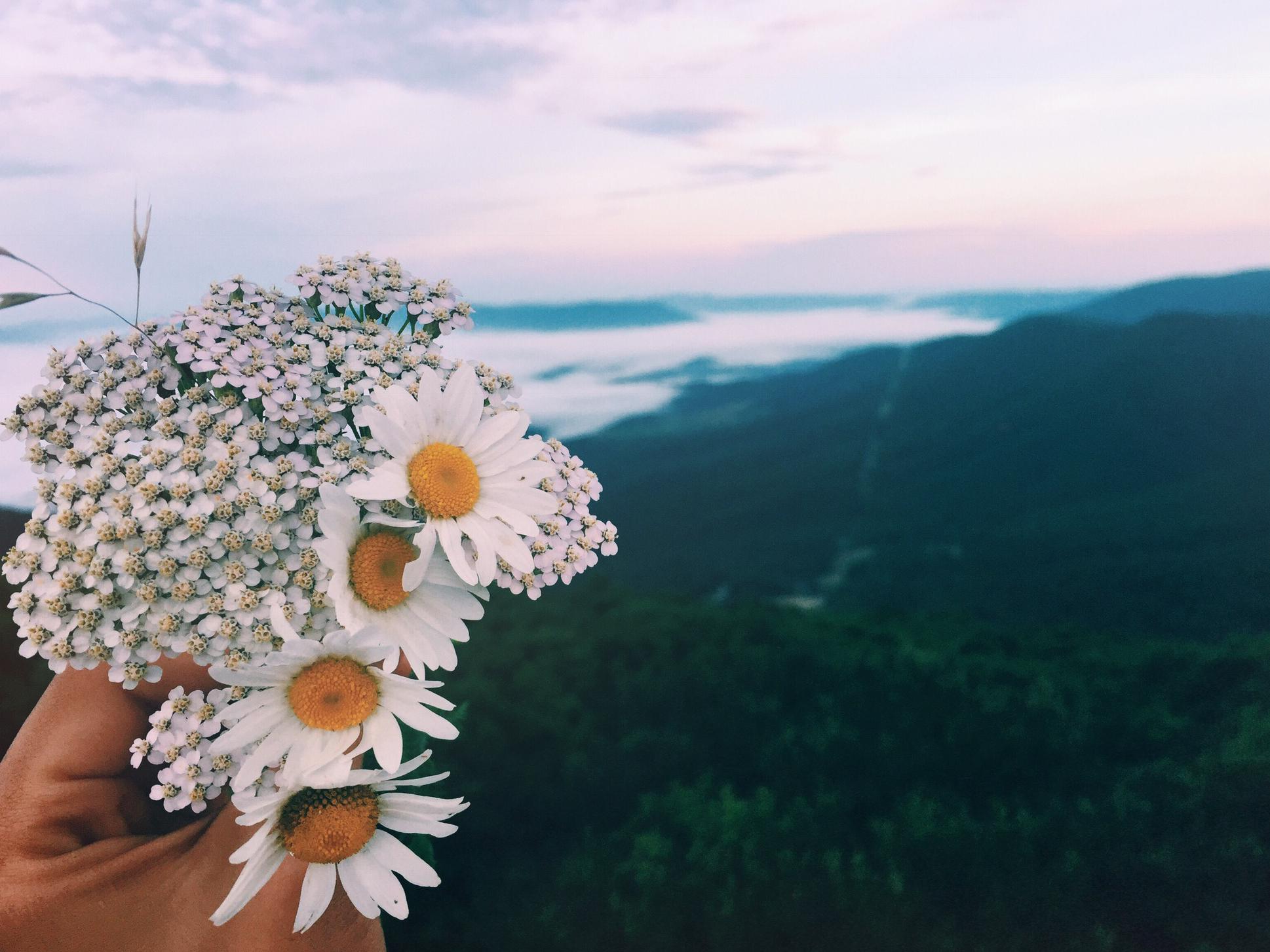 The Wedding Website of Morgan Pence and Devin Craven
