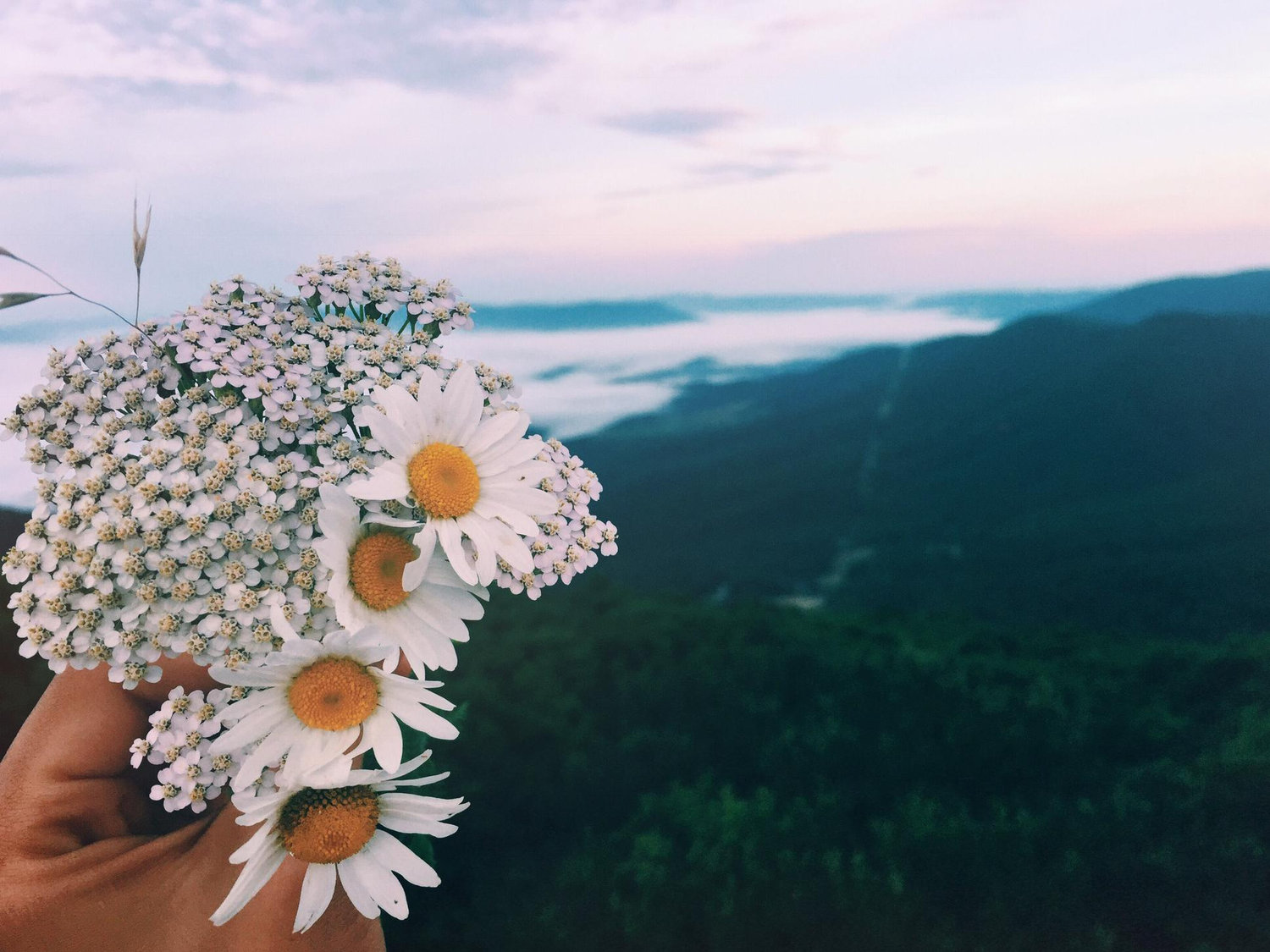 The Wedding Website of Morgan Pence and Devin Craven