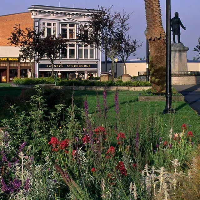 Arcata Plaza