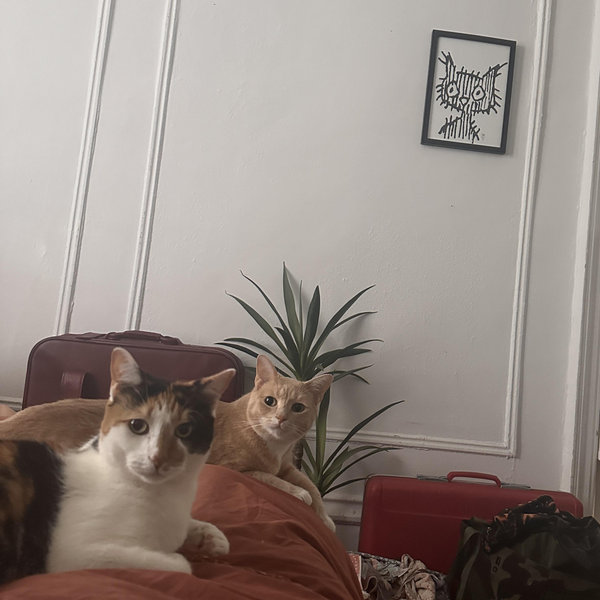 Tuna & Sesame support fund