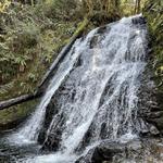Dickerson Creek Waterfall Trailhead
