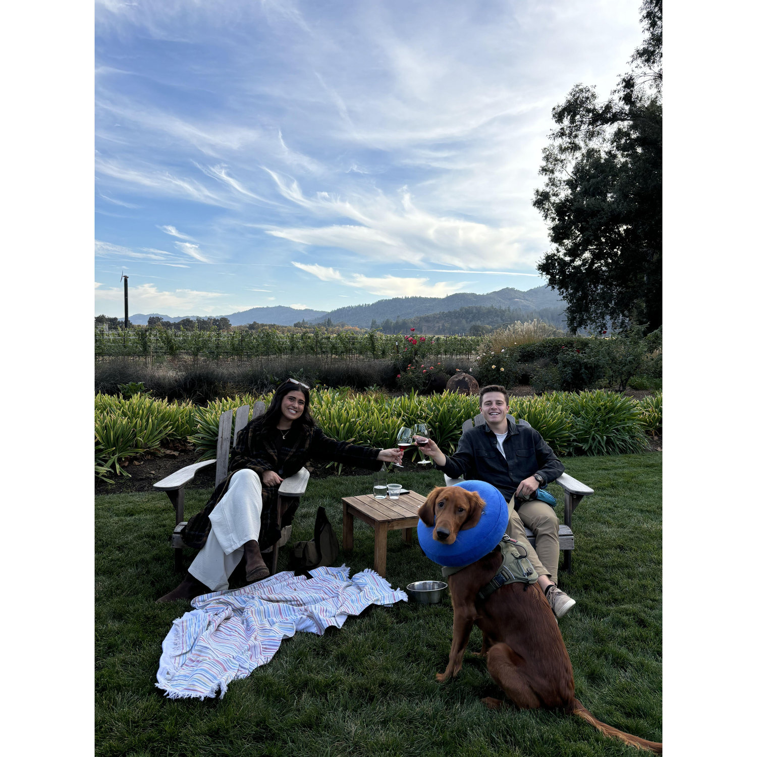 Wandering around the hundreds of vineyards in Napa Valley.