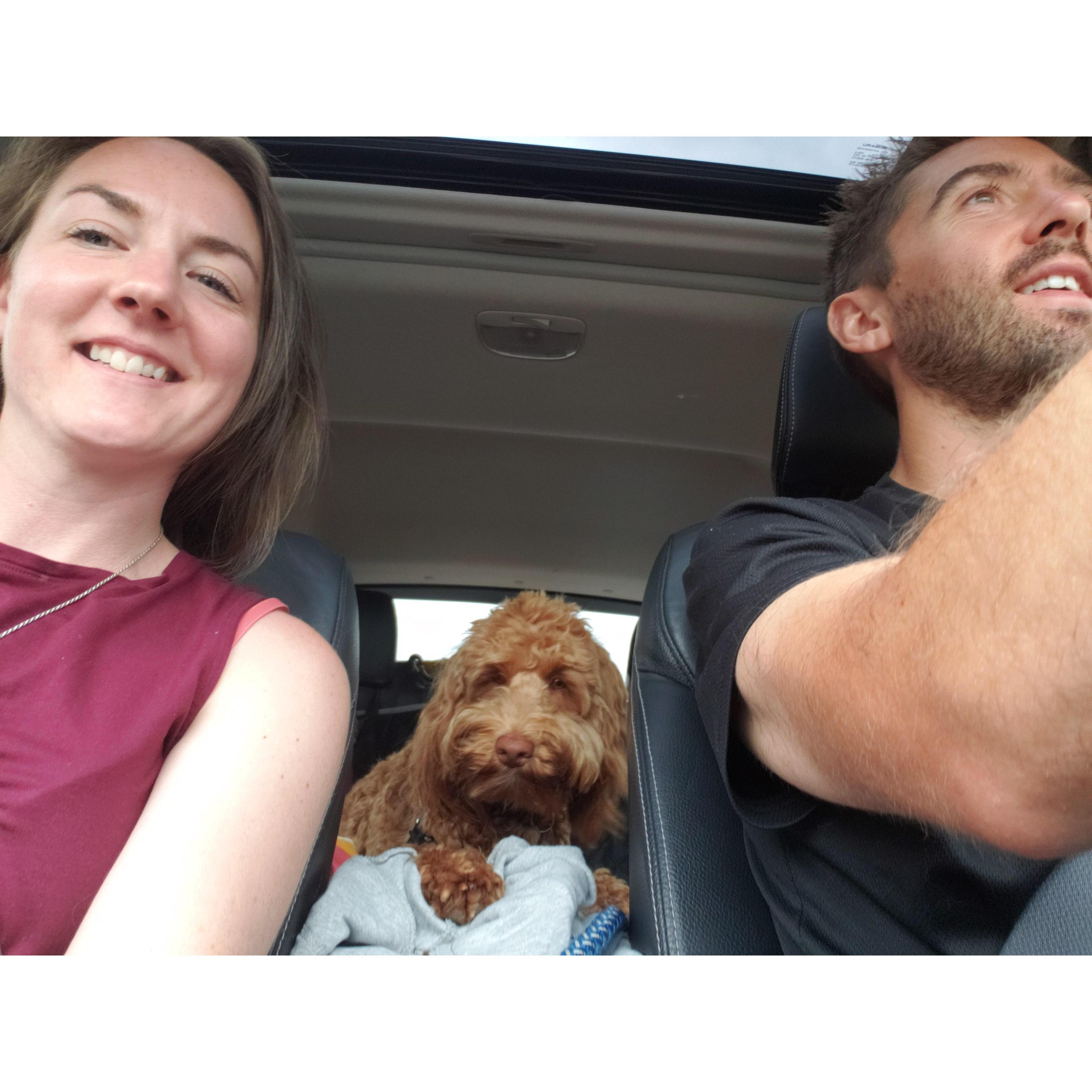On our way to the Oregon coast, with Tucker of course.