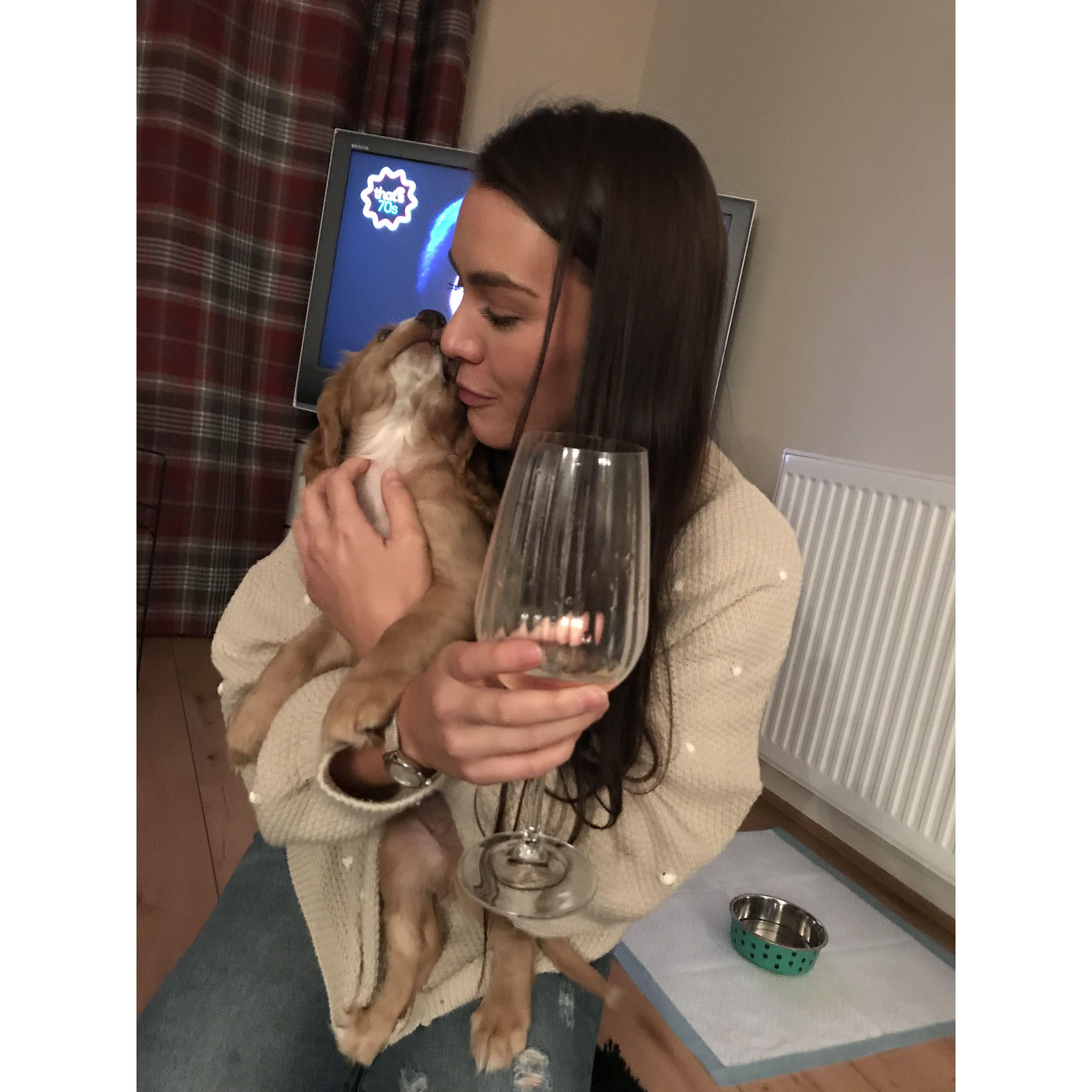 when we first met Sula the Davidson family dog