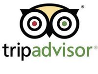 Many options on tripadvisor