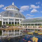 New York Botanical Garden