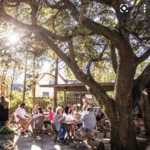 The Beer Garden