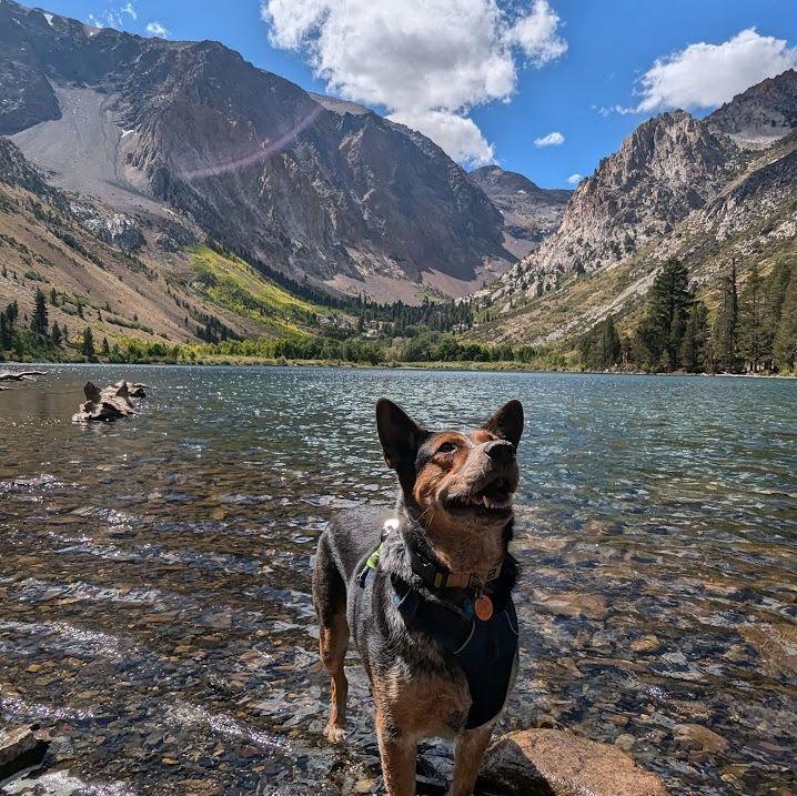 Moe at Parker Lake