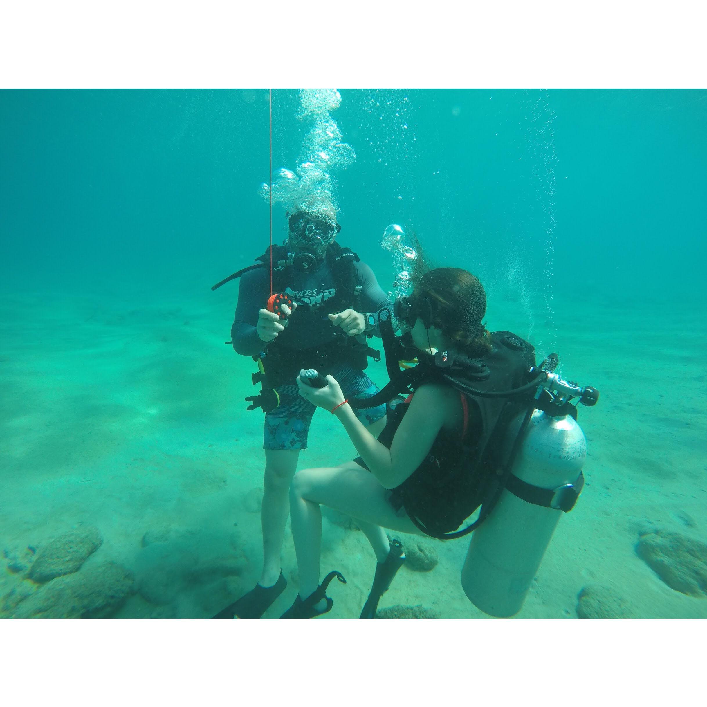 The Cayman Islands, 2017