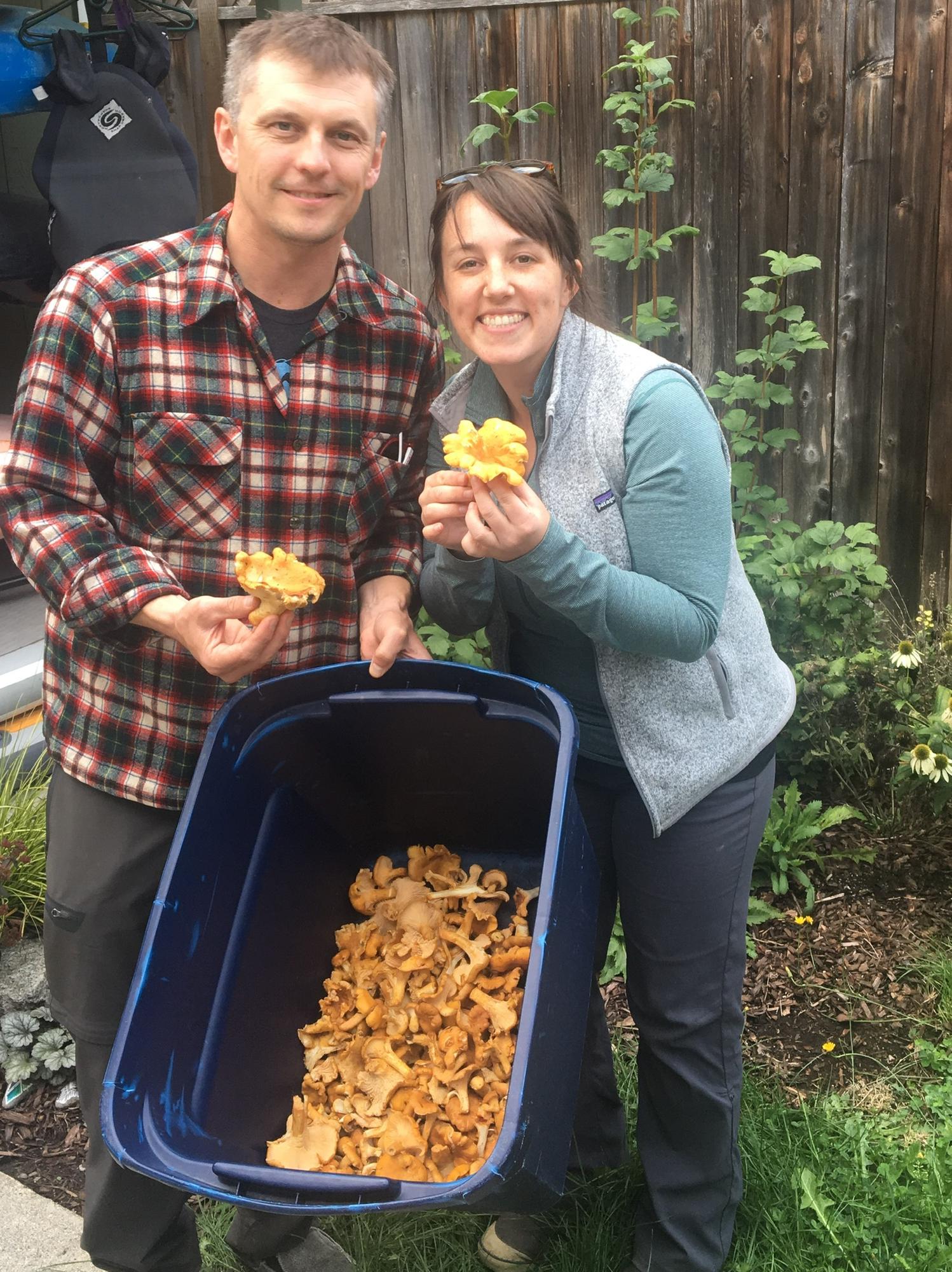 Foraging glory! Chanterelles WA