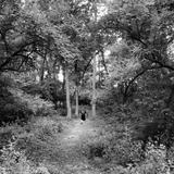 Rentschler Forest MetroPark