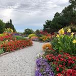 Minnesota Landscape Arboretum